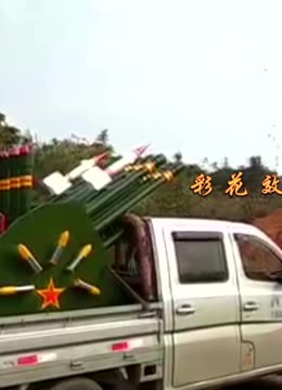 扬名电子礼炮 婚庆礼炮 绿色高配礼炮