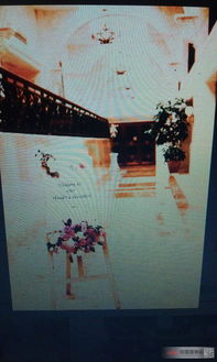 探店尼克婚礼工厂,不一样的婚礼策划商家