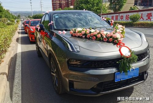 领克发力婚庆市场 潮流造型与队列气势成新宠