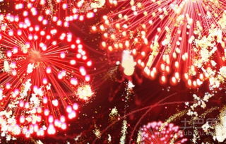 婚庆礼炮指南 种类、价格与选择全解析